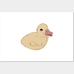 Happy Duckling Posters and Art